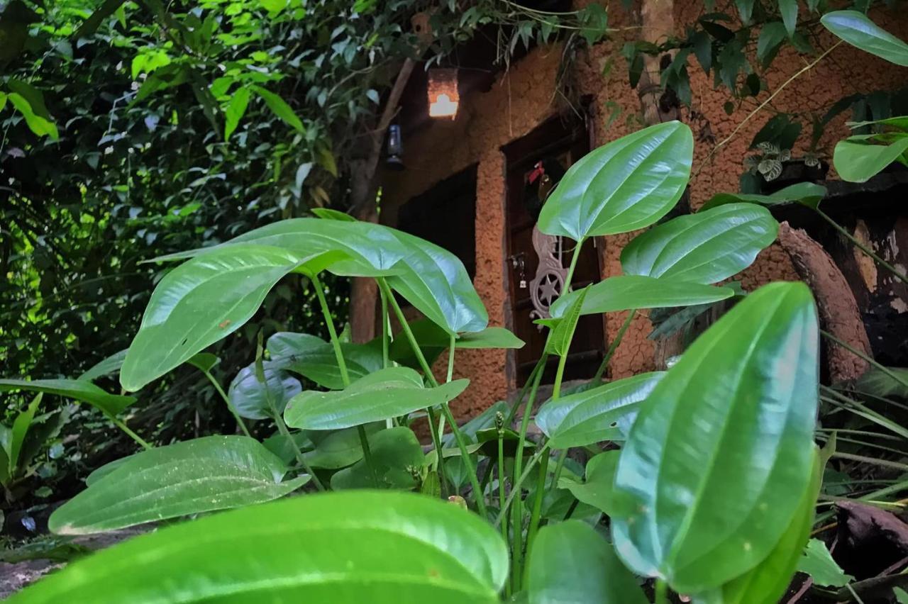 Earth House Sri Lanka Villa Neboda Buitenkant foto