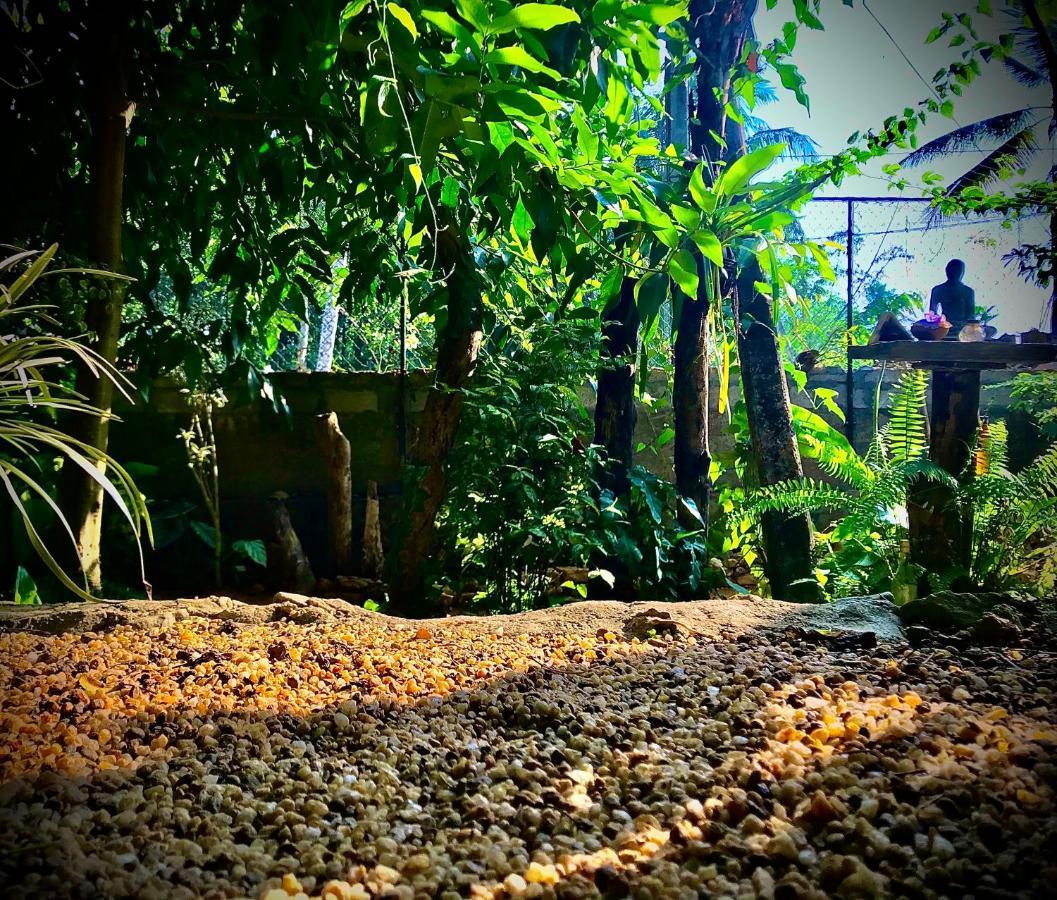 Earth House Sri Lanka Villa Neboda Buitenkant foto