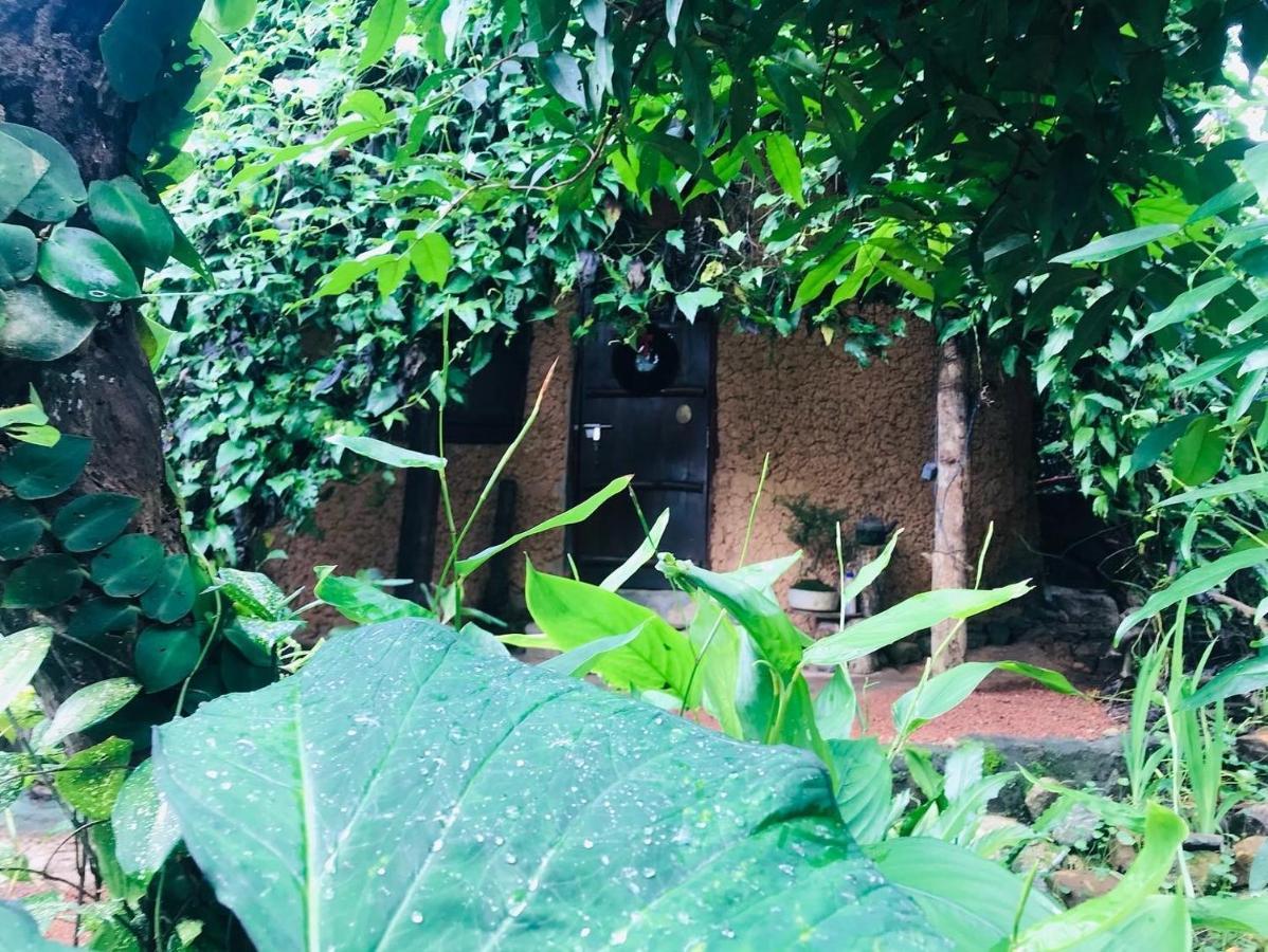Earth House Sri Lanka Villa Neboda Buitenkant foto