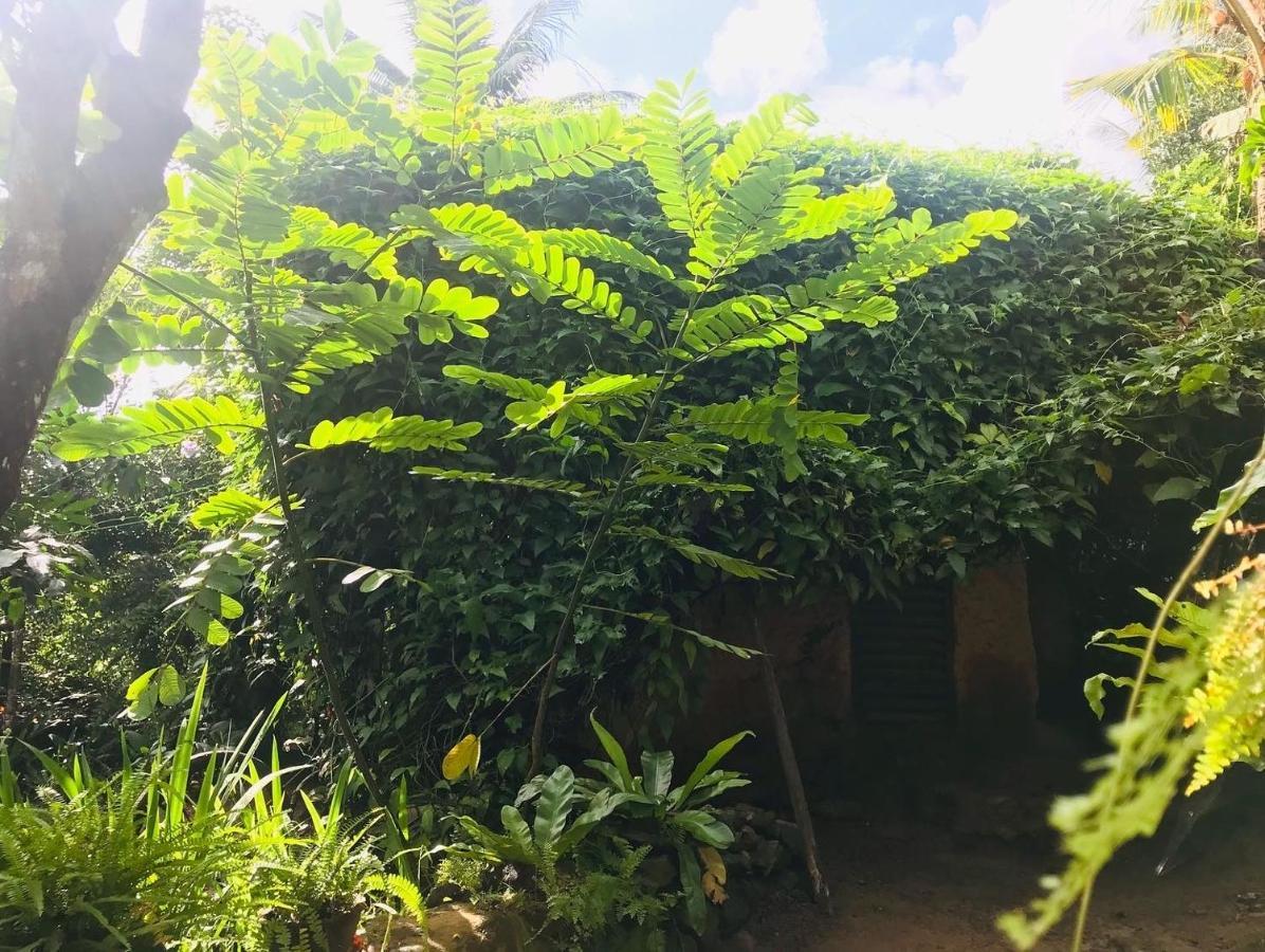 Earth House Sri Lanka Villa Neboda Buitenkant foto