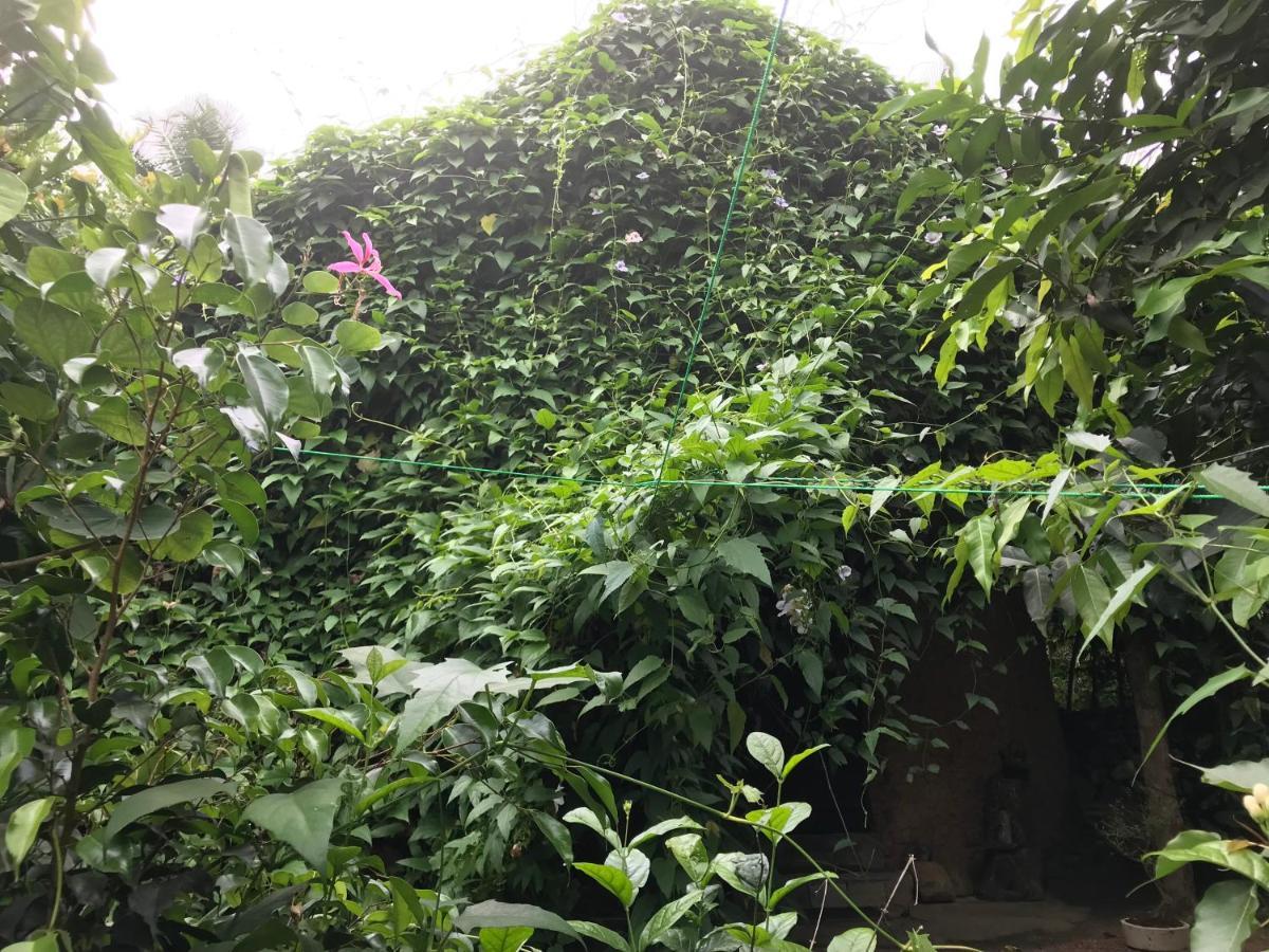 Earth House Sri Lanka Villa Neboda Buitenkant foto